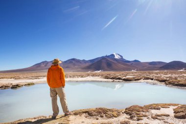 Kuzey Şili, Güney Amerika 'da, Altiplano' daki güzel mavi göl kıyısında bir turist.