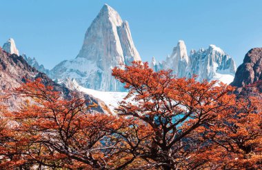 Ünlü Cerro Fitz Roy ve Cerro Torre. Patagonya, Arjantin 'in en güzel ve vurgulanması en zor zirvelerinden biri. Sonbahar mevsimi.