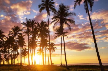 Tropikal sahildeki güzel yaz manzaraları. Tatil arkaplanı.