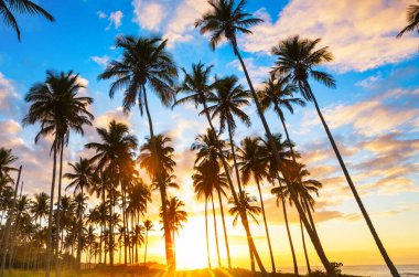 Tropikal sahildeki güzel yaz manzaraları. Tatil arkaplanı.