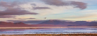 Kuzey Şili 'nin fantastik manzaraları, Atacama Çölü. Güzel, ilham verici doğal manzaralar..