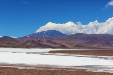 Kuzey Şili 'nin fantastik manzaraları, Atacama Çölü. Güzel, ilham verici doğal manzaralar. Yüksek dağlarda Kalgaspores.