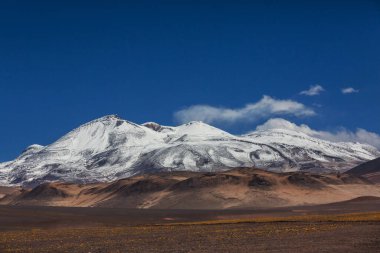 Kuzey Şili 'nin fantastik manzaraları, Atacama Çölü. Güzel, ilham verici doğal manzaralar. Yüksek dağlarda Kalgaspores.