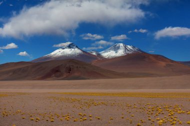 Kuzey Şili 'nin fantastik manzaraları, Atacama Çölü. Güzel, ilham verici doğal manzaralar. Yüksek dağlarda Kalgaspores.