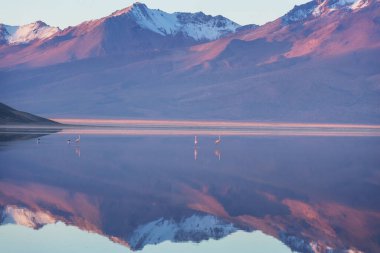 Atacama Çölü, Kuzey Şili 'deki güzel doğal manzaralar.