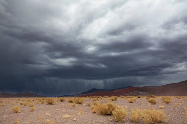 Kuzey Arjantin 'in fantastik manzaraları. Güzel, ilham verici doğal manzaralar..