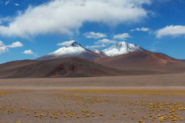 Kuzey Şili 'nin fantastik manzaraları, Atacama Çölü. Güzel, ilham verici doğal manzaralar. Yüksek dağlarda Kalgaspores.