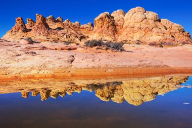 Vermillion Cliffs Vahşi Doğa Bölgesi, Utah ve Arizona 'dan Çakal Buttes.