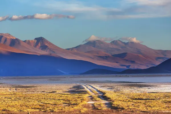 Kuzey Şili 'nin fantastik manzaraları, Atacama Çölü. Güzel, ilham verici doğal manzaralar. Yüksek dağlarda Kalgaspores.