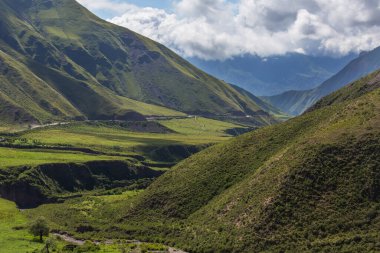 Yaz yeşil tepeler dağlarda manzara sabah sisi
