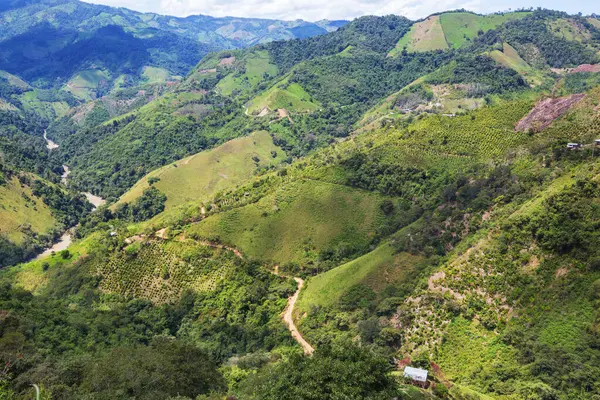 Yaz yeşil tepeler dağlarda manzara sabah sisi
