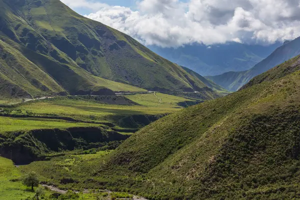 Yaz yeşil tepeler dağlarda manzara sabah sisi