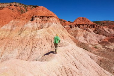 Kuzey Arjantin, Güney Amerika 'da dağlarda yürüyen bir adam