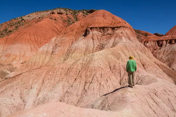 Kuzey Arjantin, Güney Amerika 'da dağlarda yürüyen bir adam