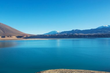 Kuzey Şili 'nin fantastik manzaraları, Atacama Çölü. Güzel, ilham verici doğal manzaralar. Yüksek dağlarda Kalgaspores.
