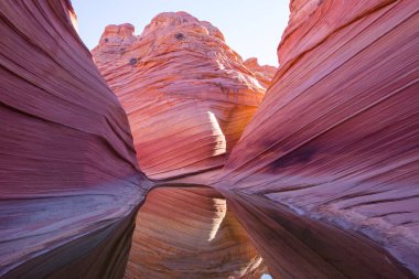 The Wave, Arizona, Vermillion Cliffs, Paria Canyon State Park, ABD. İnanılmaz doğal bir geçmiş.