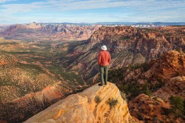 Zion Ulusal Parkı 'nda yürüyüş. Utah, Zion Ulusal Parkı 'nda bir adam yolda yürüyor. Geriye dönük bir yüz görünmüyor..