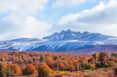 Patagonya dağlarında sonbahar sezonu, Güney Amerika, Arjantin