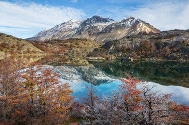 Perito Moreno Ulusal Parkı, Arjantin, Güney Amerika. Güzel renkli sonbahar mevsimi.