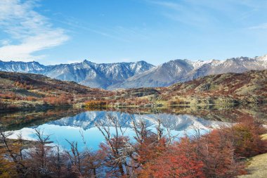Perito Moreno Ulusal Parkı, Arjantin, Güney Amerika. Güzel renkli sonbahar mevsimi.