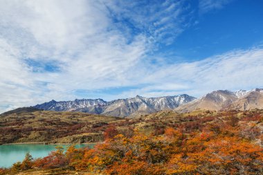 Perito Moreno Ulusal Parkı, Arjantin, Güney Amerika. Güzel renkli sonbahar mevsimi.