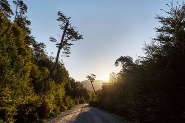 Güney yağmur ormanı, Güney Amerika, Şili 'deki Carretera Austral.
