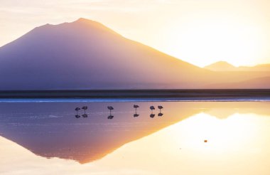 Atacama Çölü, Kuzey Şili 'deki güzel doğal manzaralar.