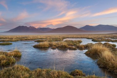 Atacama Çölü, Kuzey Şili 'deki güzel doğal manzaralar.