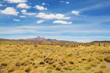 Bolivya altiplanosundaki alışılmadık dağlar Güney Amerika 'yı geziyor.