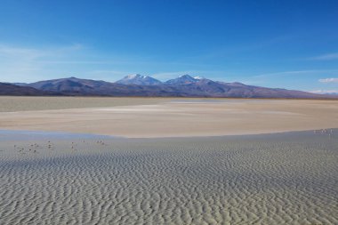 Bolivya altiplanosundaki alışılmadık dağlar Güney Amerika 'yı geziyor.