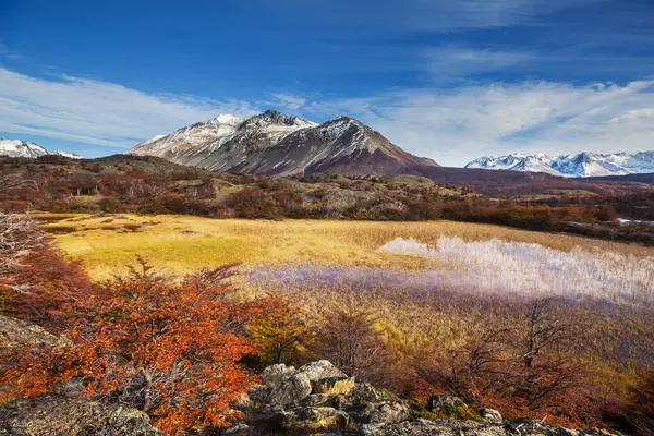 Perito Moreno Ulusal Parkı, Arjantin, Güney Amerika. Güzel renkli sonbahar mevsimi.