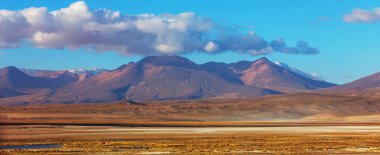Kuzey Şili 'nin fantastik manzaraları, Atacama Çölü. Güzel, ilham verici doğal manzaralar. Yüksek dağlarda Kalgaspores.