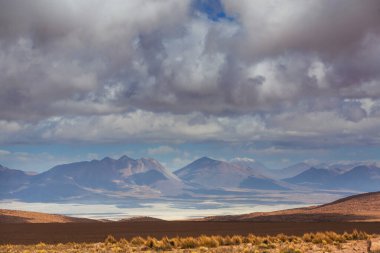 Kuzey Şili 'nin fantastik manzaraları, Atacama Çölü. Güzel, ilham verici doğal manzaralar. Yüksek dağlarda Kalgaspores.