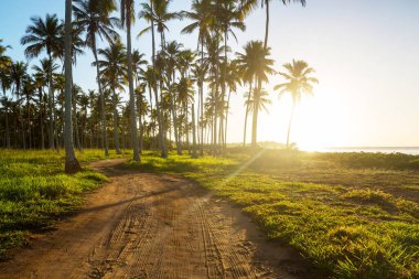 Tropikal sahildeki güzel yaz manzaraları. Tatil arkaplanı.