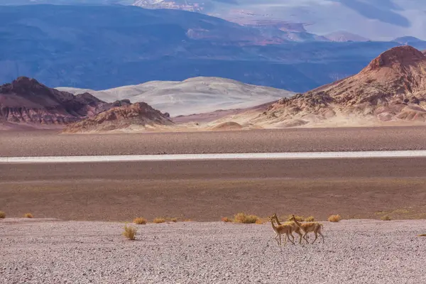 Kuzey Arjantin 'in fantastik manzaraları. Güzel, ilham verici doğal manzaralar..