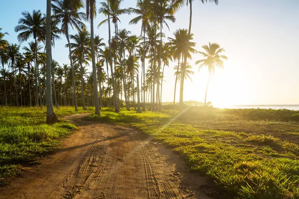 Tropikal sahildeki güzel yaz manzaraları. Tatil arkaplanı.