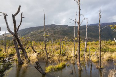 Carretera Austral, Patagonya, Güney Şili boyunca güzel dağ manzaraları