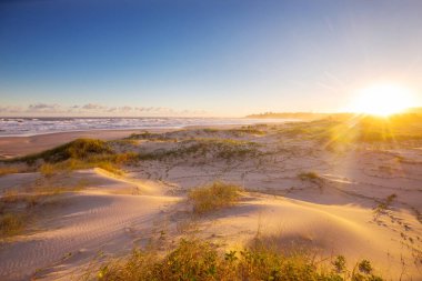 Brezilya 'da okyanus sahilindeki kum tepeleri. Atlantik Okyanusu kıyısında gün doğumu sahnesi..