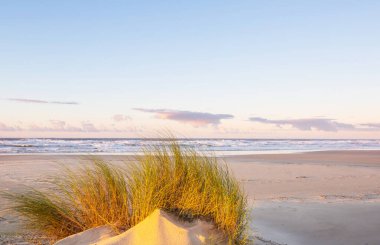 Brezilya 'da okyanus sahilindeki kum tepeleri. Atlantik Okyanusu kıyısında gün doğumu sahnesi..