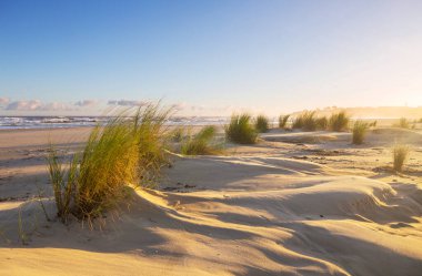 Brezilya 'da okyanus sahilindeki kum tepeleri. Atlantik Okyanusu kıyısında gün doğumu sahnesi..