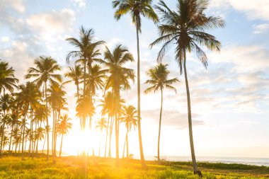 Tropikal sahildeki güzel yaz manzaraları. Tatil arkaplanı.