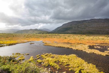Carretera Austral, Patagonya, Güney Şili boyunca güzel dağ manzaraları