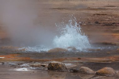 Gündoğumunda Altiplano 'daki jeotermal alan, Şili, Güney Amerika