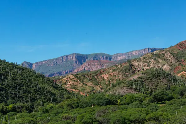 Kuzey Arjantin, Güney Amerika 'da Cafayate yakınlarında fantastik doğal manzaralar