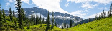 North Cascade Range, Washington, ABD 'deki güzel dağ zirvesi.