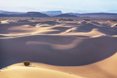 Kaliforniya, ABD 'deki kum tepeleri. Güzel doğa manzaraları gündoğumu arka planında seyahat eder