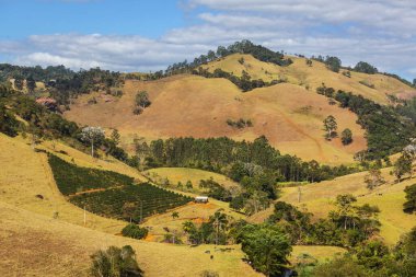 Brezilya, Güney Amerika 'da güzel yeşil kırsal alanlar