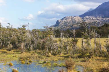 Carretera Austral, Patagonya, Güney Şili boyunca güzel dağ manzaraları
