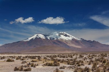 Kuzey Şili 'nin fantastik manzaraları, Atacama Çölü. Güzel, ilham verici doğal manzaralar. Yüksek dağlarda Kalgaspores.