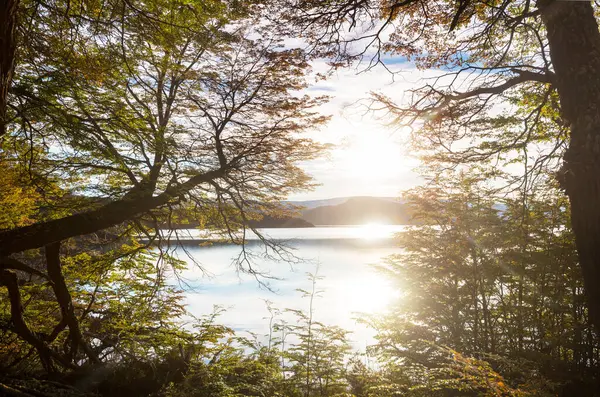 Patagonya 'daki güzel dağ manzaraları. Güney Amerika, Arjantin 'de dağlar gölü.